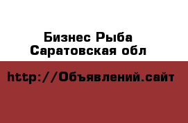 Бизнес Рыба. Саратовская обл.